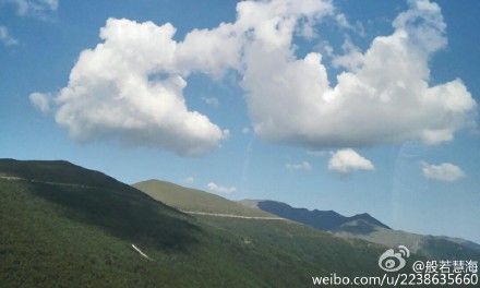 东华禅